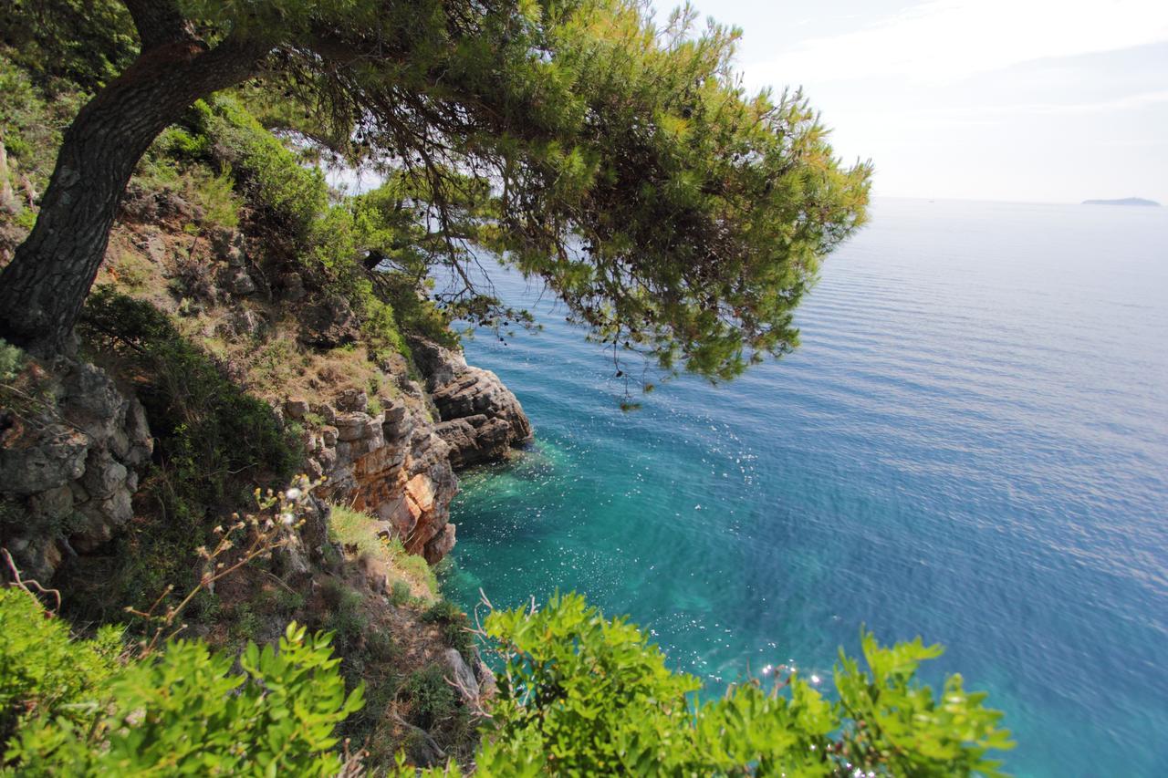 Kalamota Beach House Gornje Celo Exteriör bild